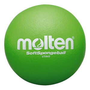 y|Cg10{IvGg[zmolten e STS16G {[ \tgX|W{[  STS16G