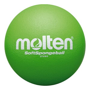 y|Cg10{IvGg[zmolten e STS18G {[ \tgX|W{[  STS18G