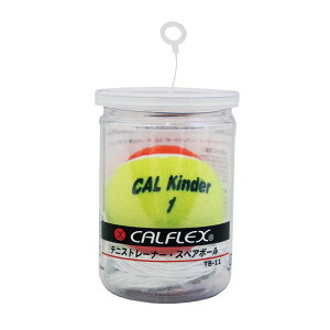 y|Cg10{IvGg[ X[p[Z[zy[zCALFLEX JtbNX TB-31 WjAp dXyA{[ ejX TNCf