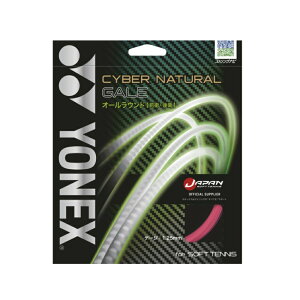 y|Cg10{IvGg[ X[p[Z[zYONEX lbNX CSG650GA 706 TCo[i`QC VCsN \tgejXXgO