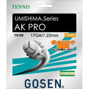 GOSEN �S�[�Z�� �d���e�j�X �K�b�g UMISHIMA AK PRO 17 �i�`������ TS708NA