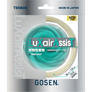 y|Cg10{IvGg[ X[p[Z[zGOSEN S[Z LuXairAssisT 16L i` TSLXA1NA