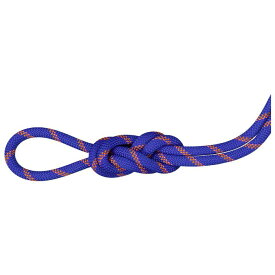 MAMMUT マムート 9.0 アルパイン センダー ドライロープ クライミング Alpine Sender Dry Rope Climbing 60m 2010-04200D ICE-SUNRISE 201004200D