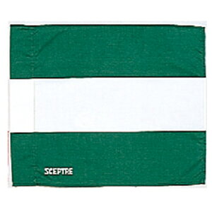 SCEPTRE �Z�v�^�[ �t���b�O �O���[��/�V�� ���O�r�[ SP81