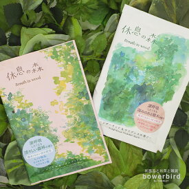 入浴剤 休息の森 パウダーバス バスパウダー お風呂 バスグッズ バスタイム 爽やか スッキリ深呼吸 自然由来 快眠 森林 ひのき サンダルウッド シダーウッド サイプレス 精油 プレゼント ギフト プチギフト リラックス 贈り物 おしゃれ かわいい 女性 男性 癒し 森林浴