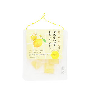 キャンディ【銅釜直火炊きの手づくりキャンディ】 あめ 飴 お菓子 スイーツ おやつ お土産 日本 手軽 個包装 マヌカハニー レモン 抹茶 あんず 果物 プレゼント ギフト プチギフト お礼 退職