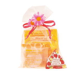 入浴剤 フラワーオーガンジーギフトお風呂 バス バス用品 重炭酸 バスソルト いちご ローズ シトラス りんご ギフト プチギフト プレゼント 誕生日 贈り物 挨拶 景品 お返し 退職 お礼 結婚