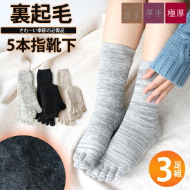 レディース 激温 5本指靴下 極厚 あったか裏起毛パイル 3足セット ゆったり 23-25cm 防寒 ルームソックス 無地 カジュアル 毛布の様な温かさ 冷え対策 冷え性 / YU