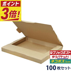 【ポイント3倍】 ネコポス 対応 ダンボール 箱 100枚セット 309×226×29mm サイズ 段ボール A4 a4 ダンボール箱 段ボール箱 メルカリ ラクマ ヤフオク 軽量 軽い 送料無料 郵便 郵送 定形外
