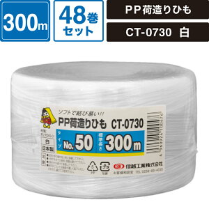 {bNXoN PPבЂ  48Zbg y:300mz MzHƊ CT-0730 SM-ET82-0048