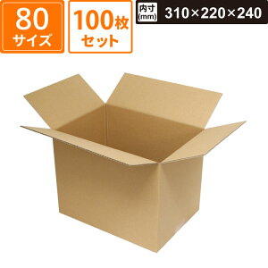 y@l̔z {bNXoN _{[ z 80TCY JiA4 100Zbg y:310×220×240z }jpbP[W EE-325 SM-FD09-0100