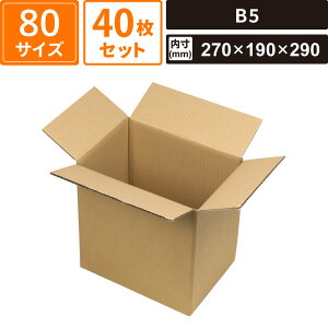 {bNXoN _{[ z 80TCY B5 40Zbg yOF280×200×305 F270×190×290z }jpbP[W EE-503FS SM-FD13-0040