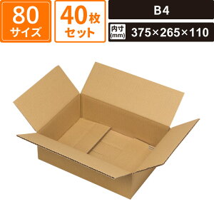 {bNXoN _{[ z 80TCY B4 40Zbg yOF385×275×125 F375×265×110z }jpbP[W EE-505FS SM-FD15-0040