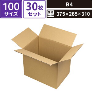 {bNXoN _{[ z 100TCY B4 30Zbg yOF385×275×325 F375×265×310z }jpbP[W EE-507FS SM-FD17-0030