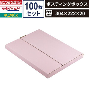 {bNXoN lR|X  |XeBO{bNX sN 100Zbg yF304×222×20z }jpbP[W EE-685 SM-FY04-0100-P 䂤pPbg NbN|Xg [