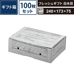 {bNXoN Mtg tbVMtg ؖ 100Zbg y:240×173×75z }jpbP[W SM-GB09-0100