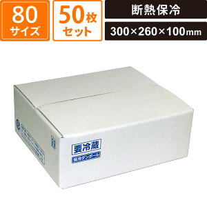 {bNXoN fMۗ_{[ ЖʃGRN[ A2 50Zbg y300×260×100z }jpbP[W SM-CB02-0050