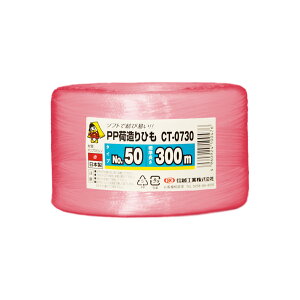 {bNXoN PPבЂ  48Zbg y:300mz MzHƊ CT-0730 SM-ET89-0048-R