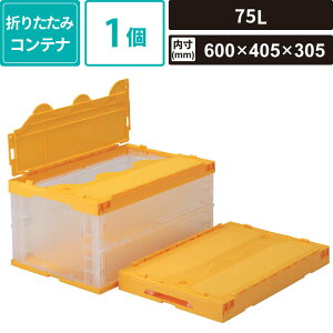 {bNXoN t^̌^ IR ܂肽݃Rei 75L CG[ yO:649×439×338mm  :600×405×305mmz Ob TNbgIRP76B-B SM-OC13-0001 bNt ϋv