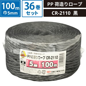 {bNXoN PPב胍[v  36Zbg yW:5mm/:100mz MzHƊ CR-2110 SM-ET93-0036-BK