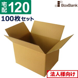 y|Cg3{/@l̔z _{[ i{[ z 120TCY (45×35×32cm) 100 Zbg z z ݂ _{[ i{[ [   z 120  ځ[  z
