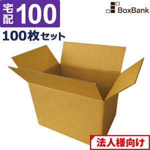 y|Cg3{/@l̔z _{[ i{[ z 100TCY (38×27×28cm) 100 Zbg z z ݂ _{[ i{[ [   z 100  ځ[  z