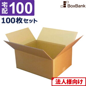 y|Cg3{/@l̔z _{[ i{[ z 100TCY (44×34×19cm) 100 Zbg z z ݂ _{[ i{[ J Ap   z 100  