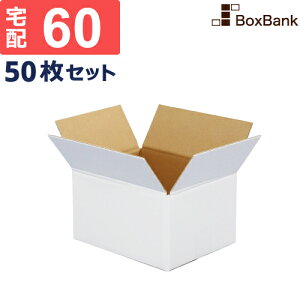 アート 梱包 ダンボールの人気商品 通販 価格比較 価格 Com