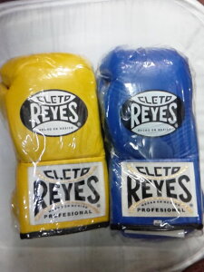 yԌ10{|CgzCWFX8IXO[u@u[@CG[@zCgvtFbViO[uЂłB