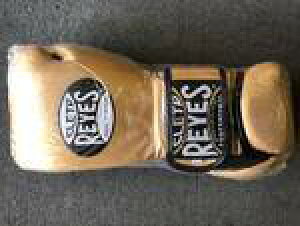 yԌ10{|CgEAJL[z_[tzCWFX {NVOO[u14IX xN }WbNe[v Ryes S[h