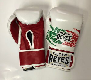 yVfUCEԌ 10{|CgzVi@CWFXg[jOO[u10IX @LVR}WbNe[vxN