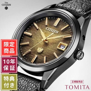 yE350{^10Nۏ؁zV`Y UV`Y AQ4106-18X \[[ GRhCu a Tt@CKX 10Ch CITIZEN TheCITIZEN UEV`Y Yv