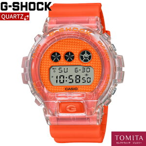 yiz CASIO JVI G-SHOCK W[VbN DW-6900GL-4JR JvZgC NH[c 20Ch