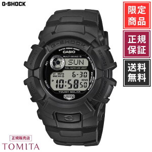 �y�������K�i�^����z�J�V�I G-SHOCK GW-2320FP-1A1JR �\�[���[�d�g 20�C���h��