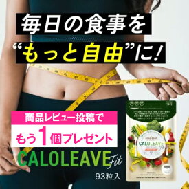 ダイエット サプリ カロリーブ フィット 93粒 栄養機能食品 糖質 脂質 酵素 サプリメント カット 食品 体脂肪 血糖値 内臓脂肪 ぽっこり お腹 下腹 お腹周り 吸着 吸収 減らす 下げる Lカルニチン 炭 サラシア サイリウム ハスク