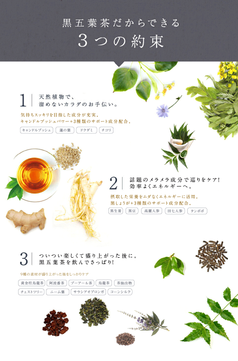 安い購入 Amazon | 黒五葉茶ゴールド 30包 3箱セット ダイエット