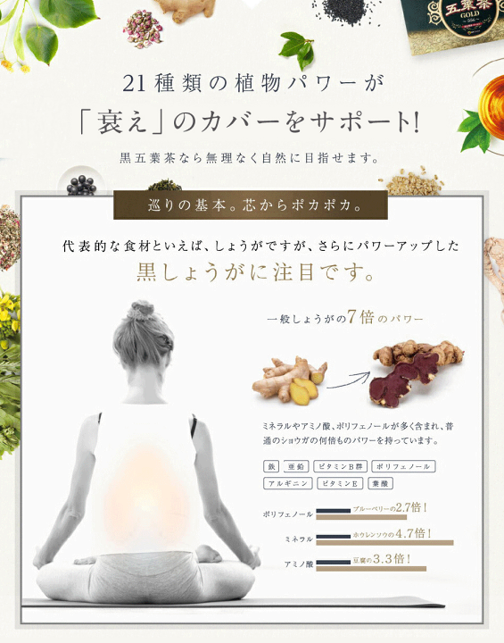 安い購入 Amazon | 黒五葉茶ゴールド 30包 3箱セット ダイエット