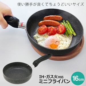 tCp 16cm ~jTCY Ў IHΉ KXΉ Ȃ ^ uߓ ڋʏĂ pP[L \[Z[W ٓ  ܂ \[X  Lb`  ȃXy[X 1l炵 V 