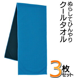 【3枚セット】 クールタオル ひんやりタオル 水でぬらしてしぼるだけ 冷感タオル cool タオル ネックタオル つめたいタオル 首 冷却 スポーツ アウトドア 作業 観戦 暑さ対策 猛暑対策 クールタオルHOU 節電 景品 送料無料 送料込 2M◇ HOUタオル3枚
