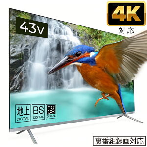 yʌIz er 43C` ter 4KΉ 43V^tTV OtHDD^Ή HDMI nfW BS CSΉ ^  f erԑg  f Q[ Ɠd V   VI 180S