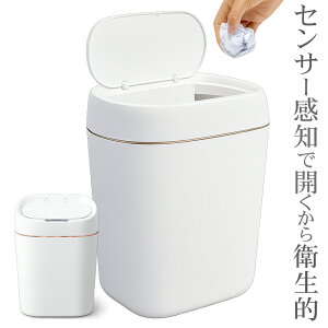 S~ J S~ ӂt USB[d lZT[ ݔ c^ X y_炸 _Xg{bNX Vv g Ȃ W t RpNg  ȃXy[X Lb` 䏊 