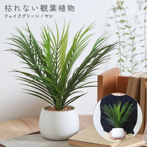 tFCNO[ V ϗtA tFCN O[ lHϗtA  t rO CeA i`  JtF 蕨    80S V