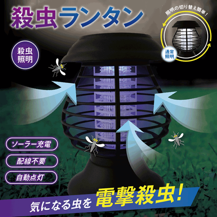 Aether　ソーラー　【箱無】 楽天市場】W651 ソーラー 缶 アッシュ 4 ロング セイワ SEIWA W