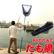 玉網 ランディングネット 伸縮式 たも網 折りたたみ 大型たも網 220cm 176cm 126cm 3段階伸縮 網枠 45.5c…