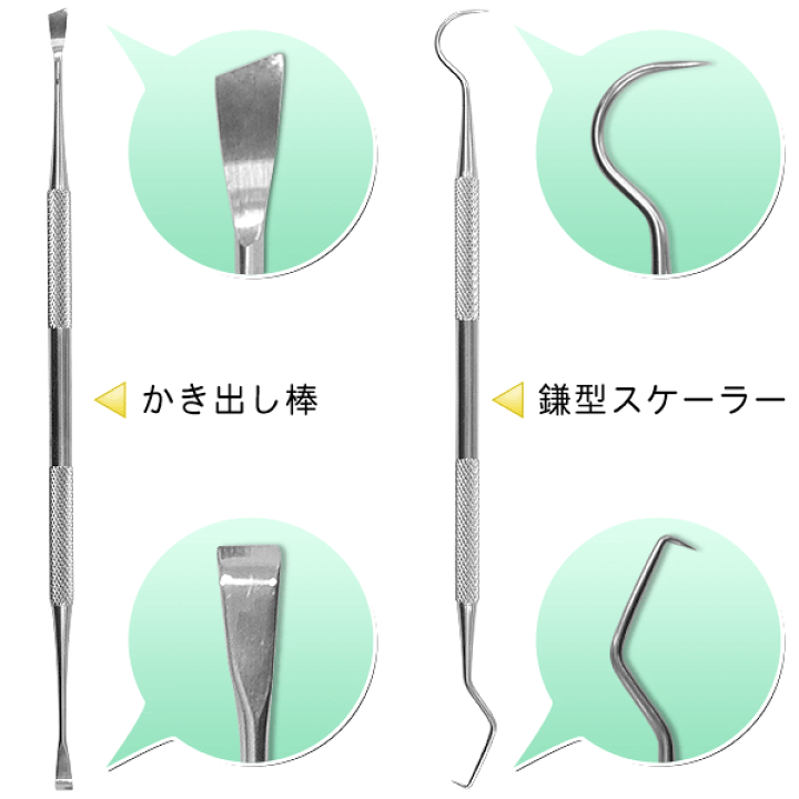 歯科用器具セット ステンレス製 楽天市場】送料無料 !(メール便) デンタルケア デンタルツール