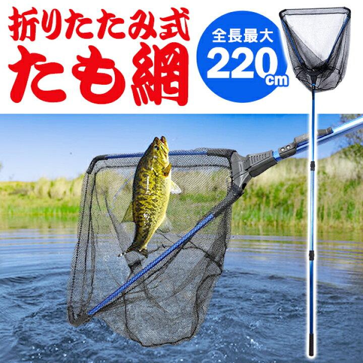楽天市場 玉網 ランディングネット 伸縮式 たも網 折りたたみ 大型たも網 2cm 176cm 126cm 3段階伸縮 網枠 45 5cm 46cm 逆三角形 釣り具 磯釣り 川釣り 海釣り たも タモ 魚釣り たも網dl ベストプライスショップ