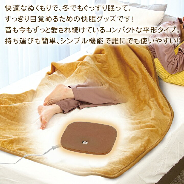 楽天市場】送料無料 !(メール便) 電気あんか 平型あんか 温度調節付 