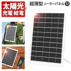 ソーラーチャージャー 太陽光 充電 給電 カラビナ2個付き ソーラー 超薄型 2.5mm 快晴 スマホ 携帯 USB充電機器 コンパクト 持ち運び キャンプ アウトドア 非常時 旅行 送料無料 送料込 新着！ 2M◇ 超薄型ソーラーパネル