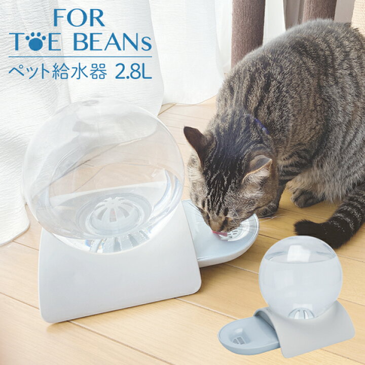 楽天市場 ペット給水器 2 8l 電源不要 犬猫 給水器 ウォーターサーバー 水やり器 ペット用 ウォーターディスペンサー いぬ ねこ 水飲み ウォーターボウル ペット用品 ペット給水器m ベストプライスショップ