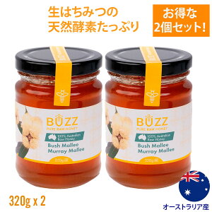 y2ZbgzoYEnj[ ݂͂ M 320g ݂͂ Buzz Honey I[XgAY I VR݂͂ ݂͂   ݂͂ I ݂͂Mtg n`~c Y _ 